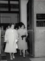 1964_252_157