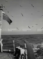1961_150_111