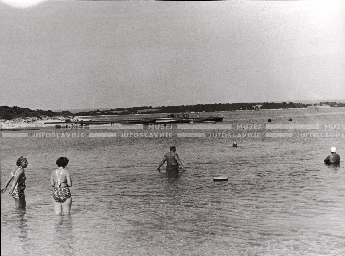 1950_007_100