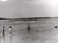 1950_007_100