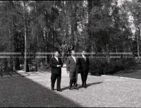 1954_028_058