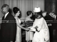1964_252_162