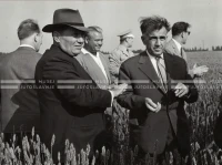 1961_170_200