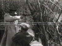 1950_005_129