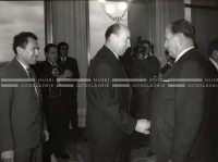 1964_252_133
