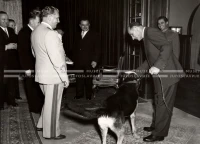 1952_014_073