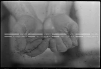 MS_37_A_22
