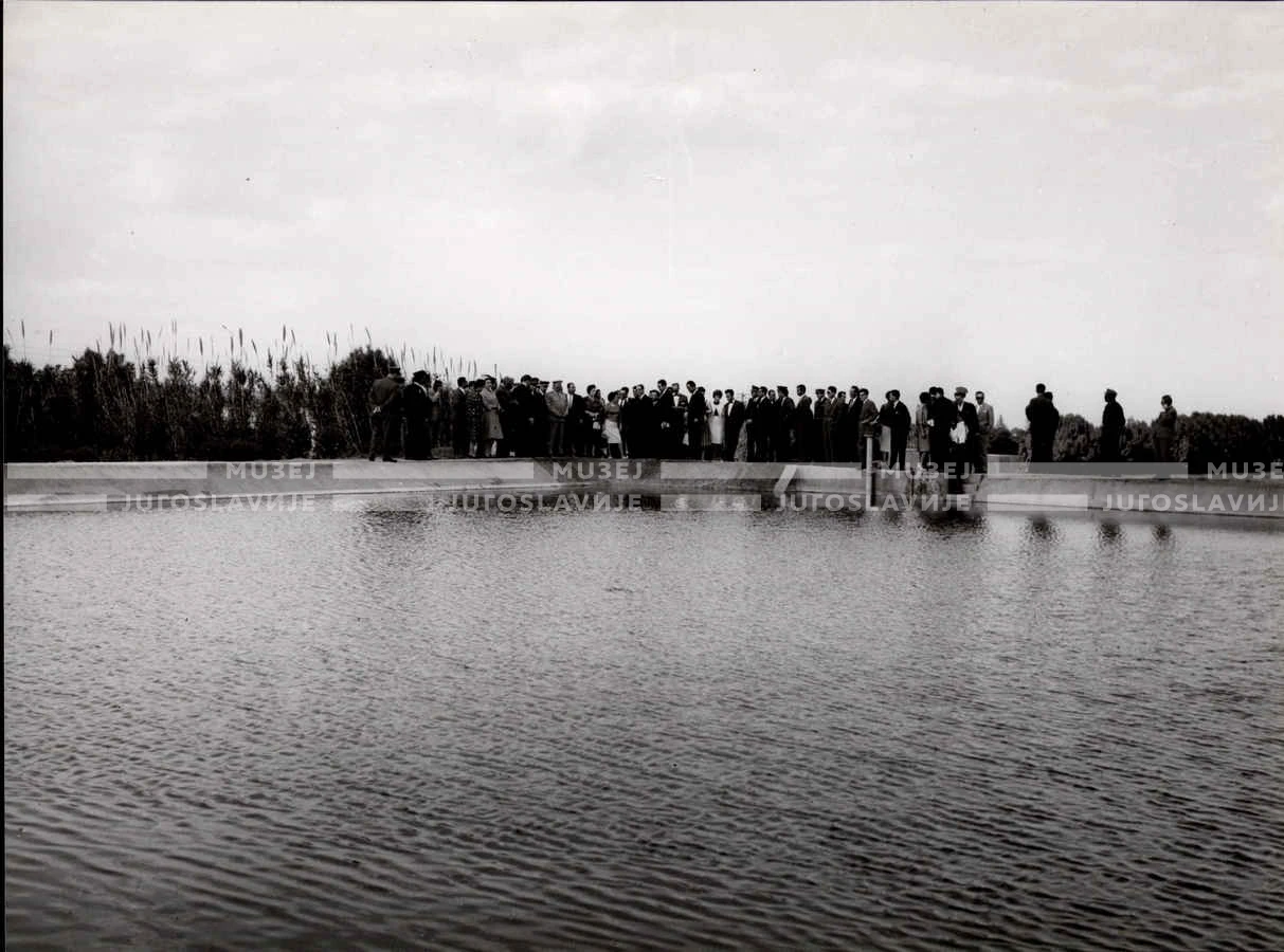 1961_163_050