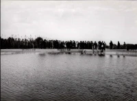 1961_163_050