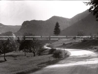 1950_007_001