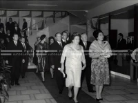 1964_252_184