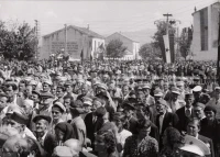 1951_010_029