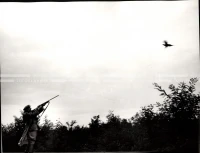 1953_024_018