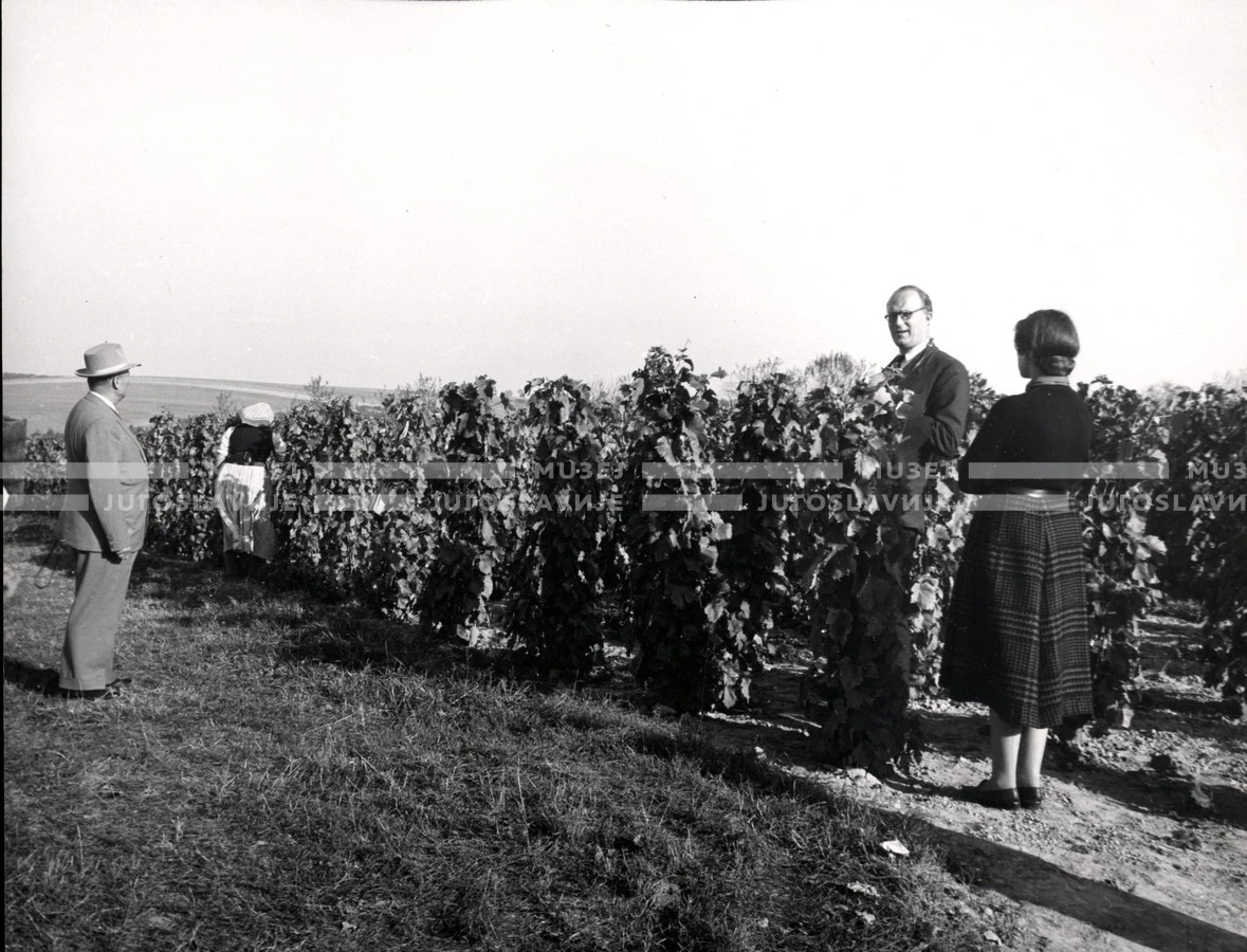 1953_024_070