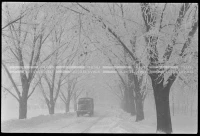 SK_25_A_0670