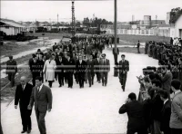 1961_163_013