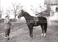 1950-51_008_089