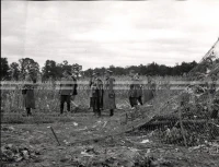 1953_023_112