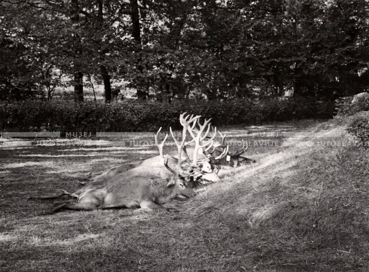 1948_001_146