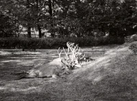 1948_001_146