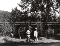 1950_007_085