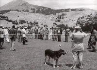 1951_010_018