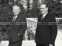 1964_252_204