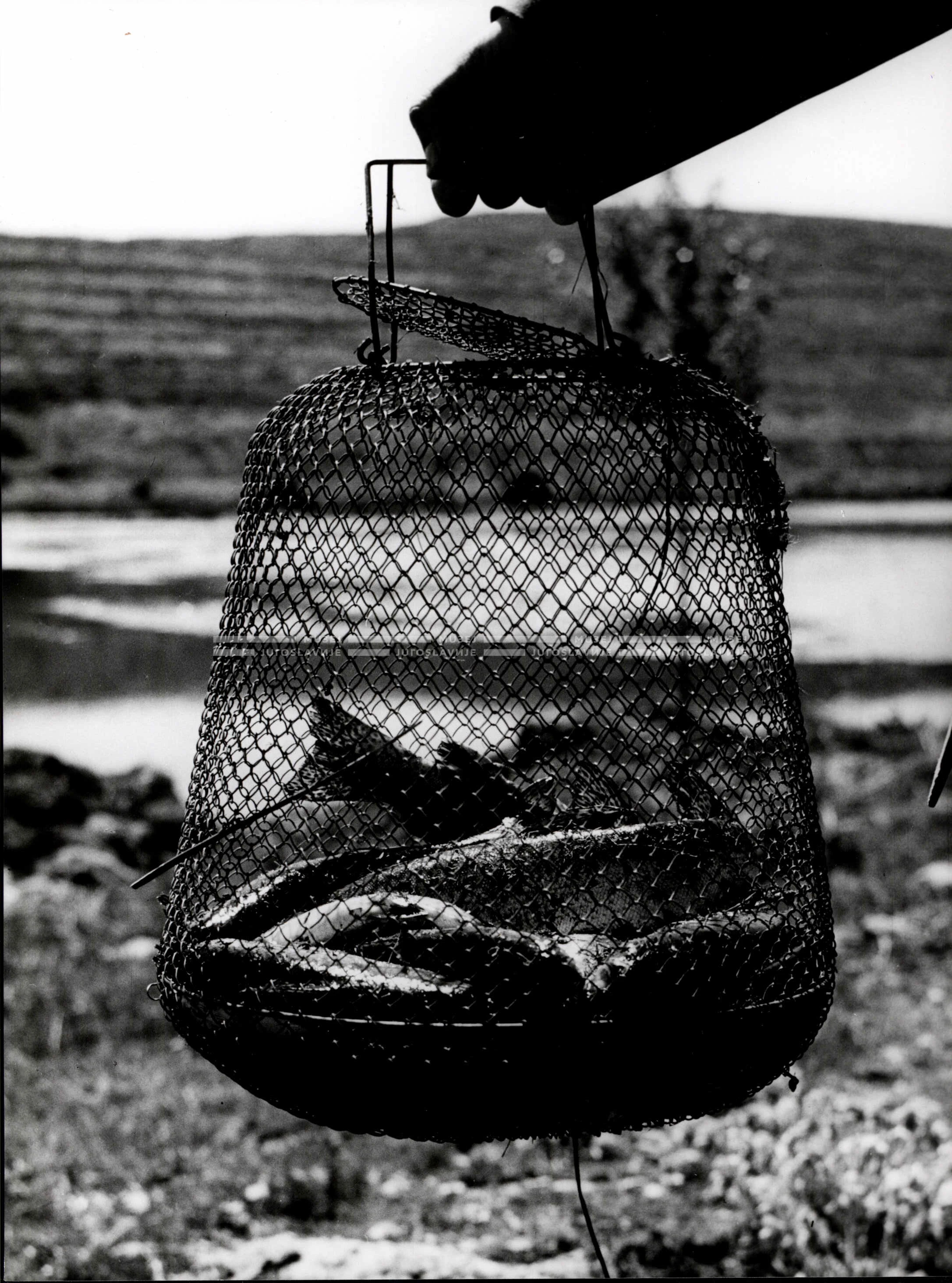 1961_161_040