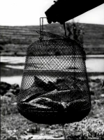 1961_161_040