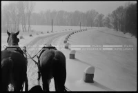 SK_25_A_0629