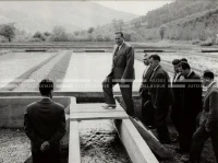1961_169_134
