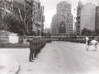1950_006_041