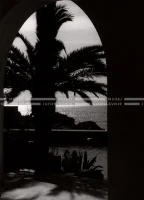 1950_005_050