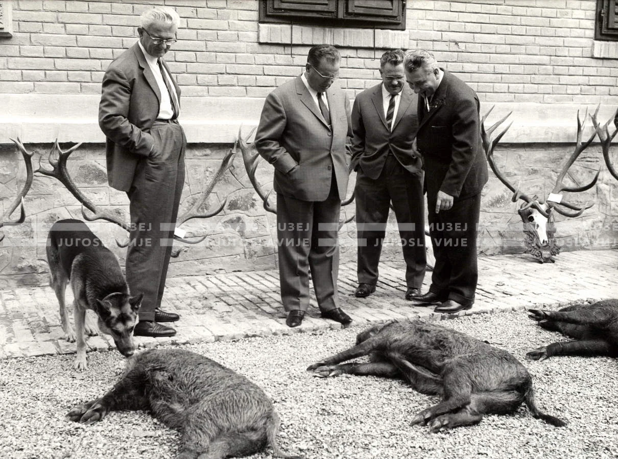 1964_252_007