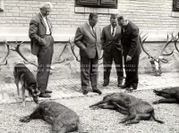 1964_252_007