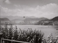 1951_010_146