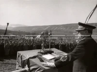 1950_005_102