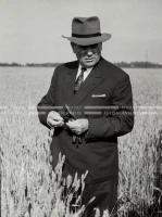 1961_170_201