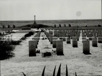1961_164_064