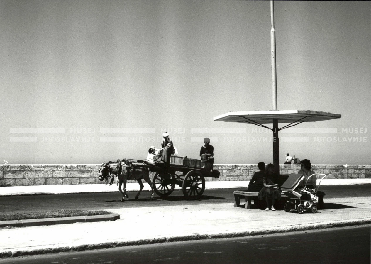 1961_164_054