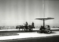 1961_164_054