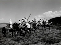 1961_161_048