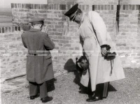 1950_005_120