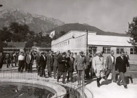 1951_011_071