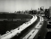 1961_164_013