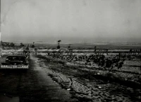 1961_164_056