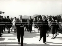 1964_252_202