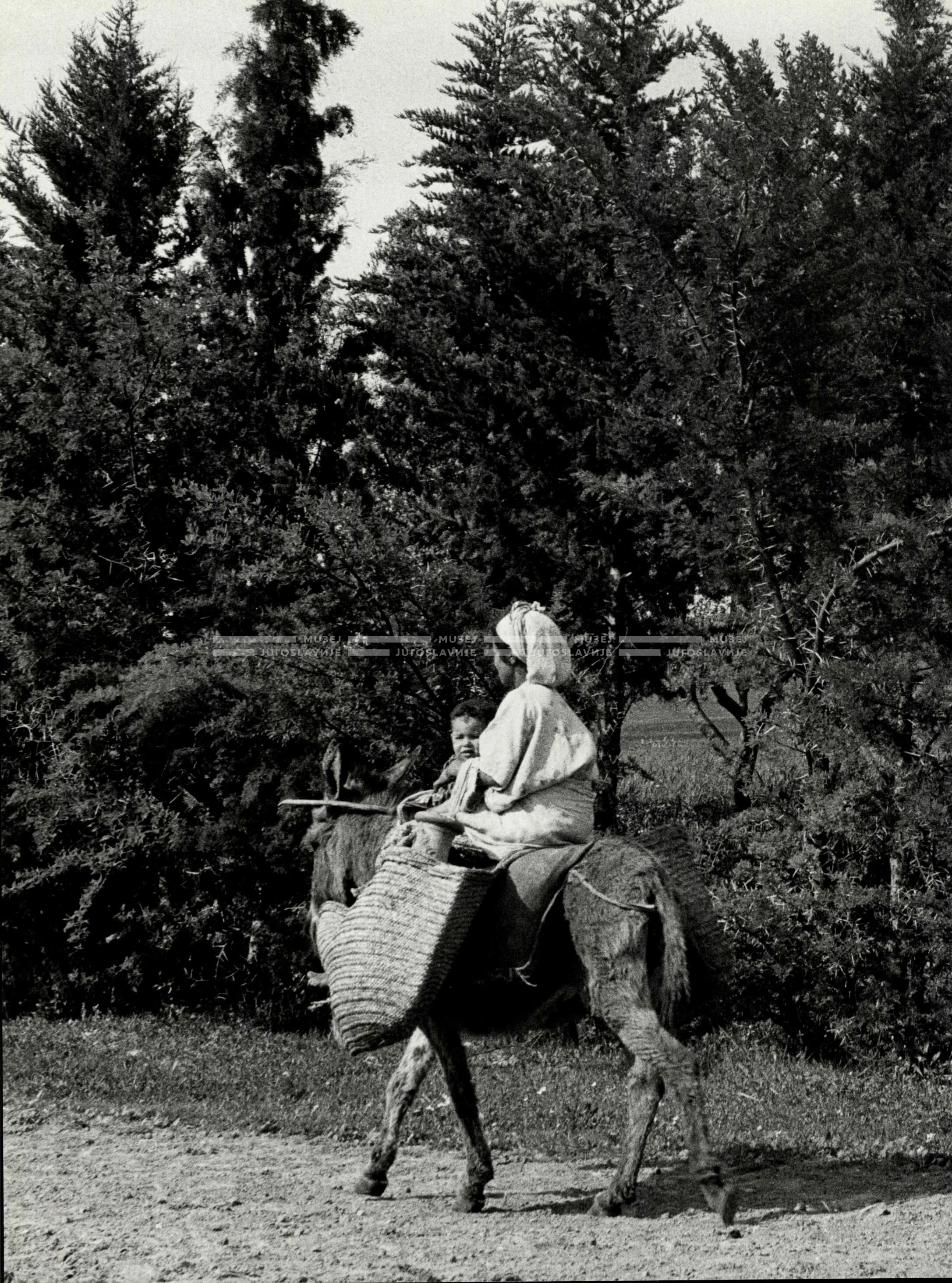 1961_161_069