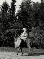 1961_161_069