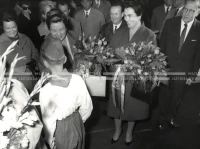 1964_252_192